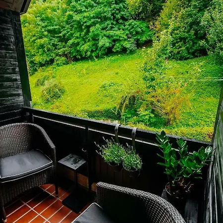 Tony's Place Under The Castle Apartment Laibach
