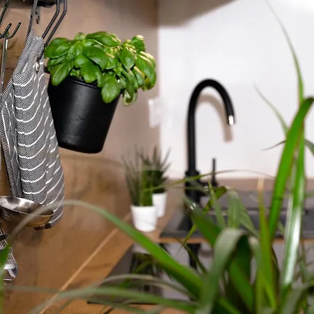 Tony's Place Under The Castle Ljubljana