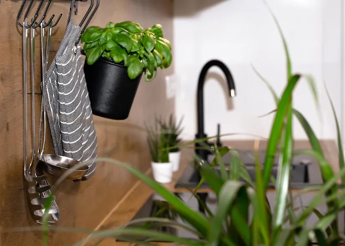 Tony's Place Under The Castle リュブリャナ