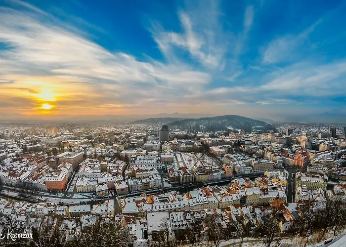 Tony's Place Under The Castle アパート